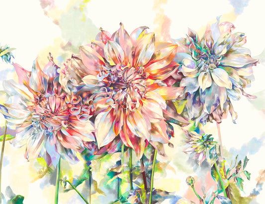 Dahlias in Pastels Print, 11x14"
